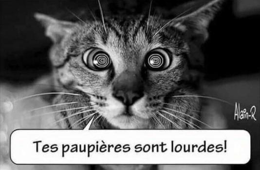 Chat hypno